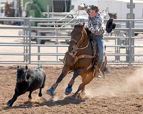 Calf Roping